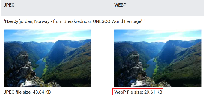 WebP、PNG 和 JPEG：WordPress 的最佳圖像格式插圖1